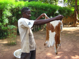 02 On Lave La Peau De Chevre